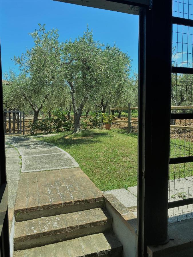 Tenuta Del Casale Villa Vasto Esterno foto